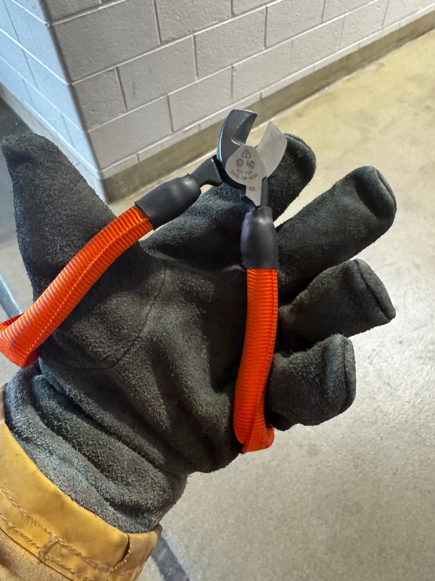 "Exit 6" Cutters