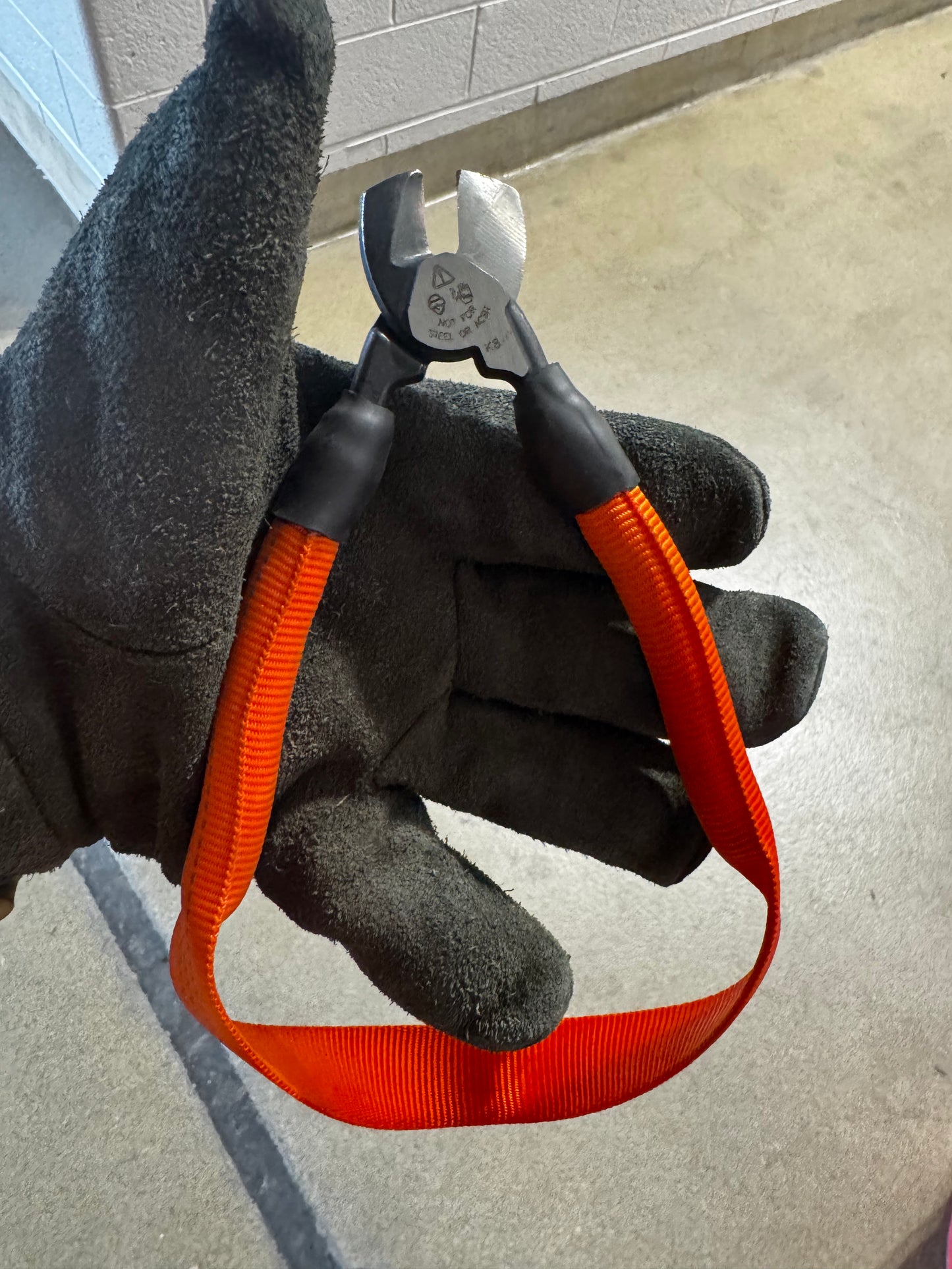 "Exit 6" Cutters